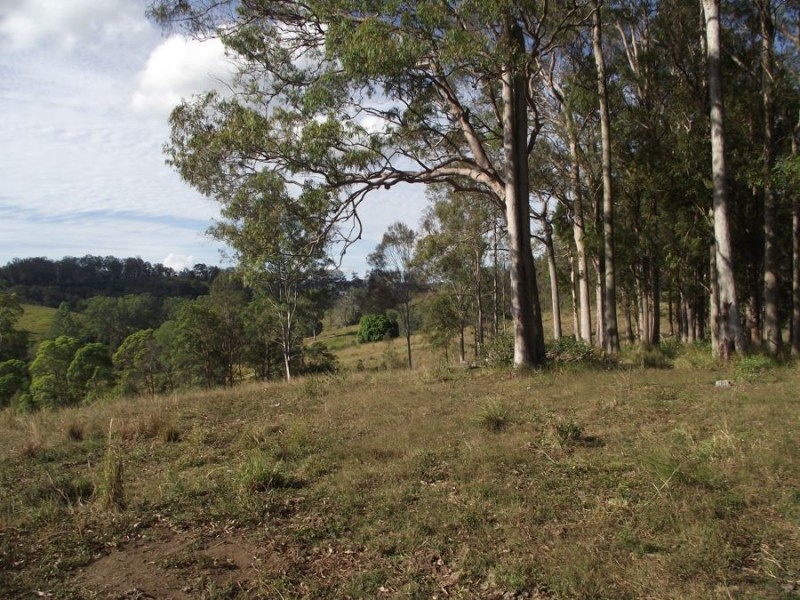 453 Old Goomboorian Road, Veteran QLD 4570