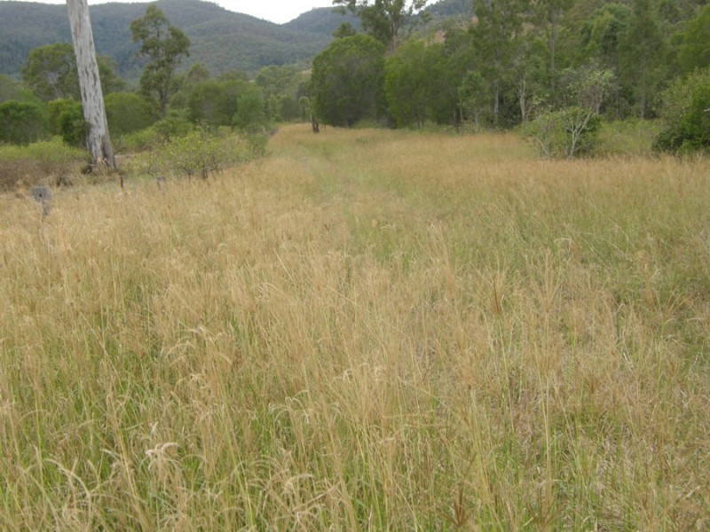 Calgoa QLD 4570