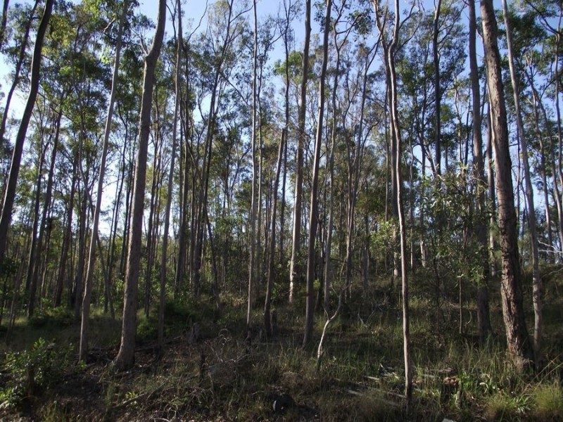 North Deep Creek QLD 4570