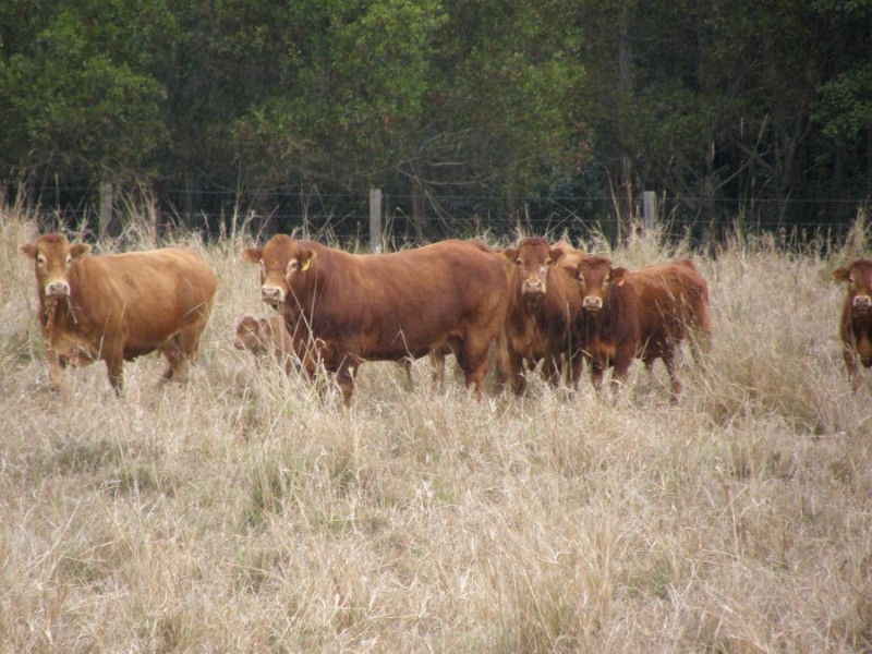 Sunshine Road, Wolvi QLD 4570