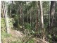 Lot 239 Arborsix Road, Glenwood QLD 4570