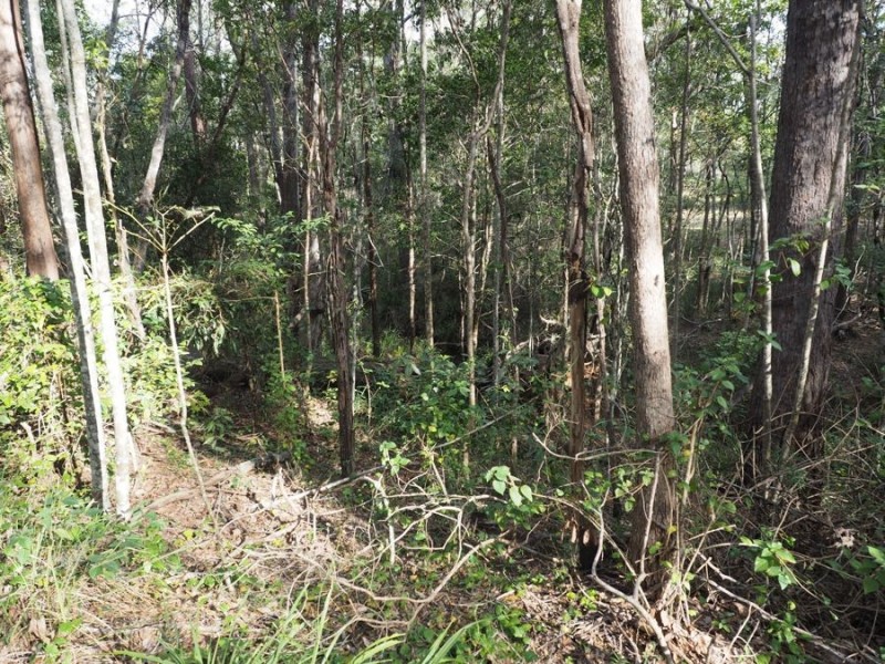 Lot 239 Arborsix Road, Glenwood QLD 4570