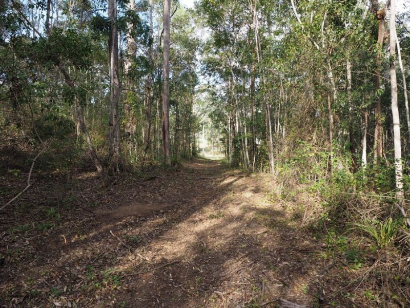 Lot 239 Arborsix Road, Glenwood QLD 4570