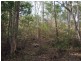 Lot 239 Arborsix Road, Glenwood QLD 4570