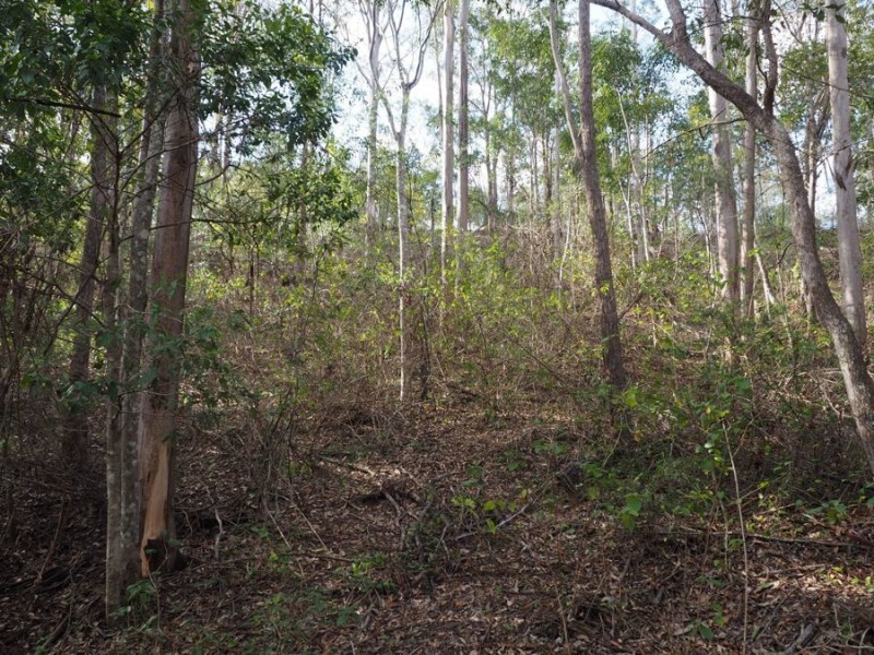 Lot 239 Arborsix Road, Glenwood QLD 4570