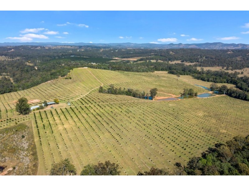 Tandur QLD 4570