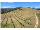 Tandur QLD 4570