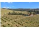 Tandur QLD 4570