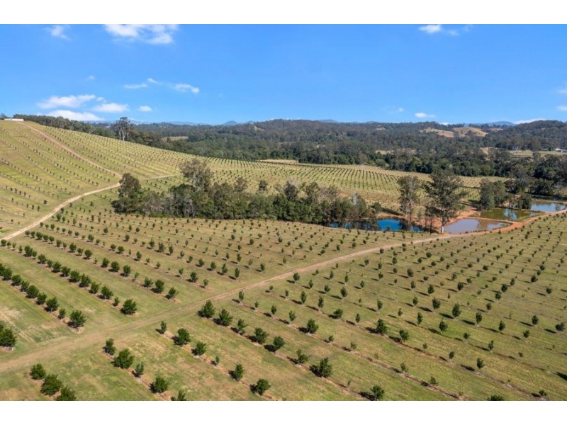 Tandur QLD 4570