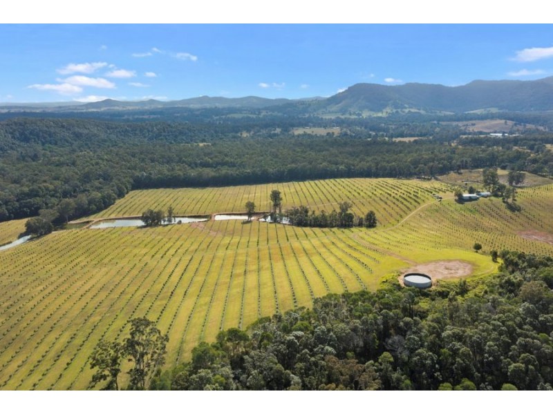 Tandur QLD 4570