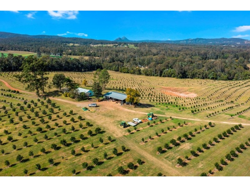 Tandur QLD 4570