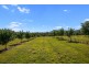 Tandur QLD 4570