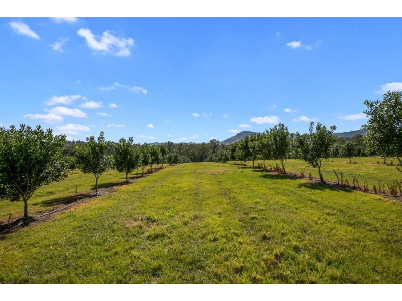Tandur QLD 4570