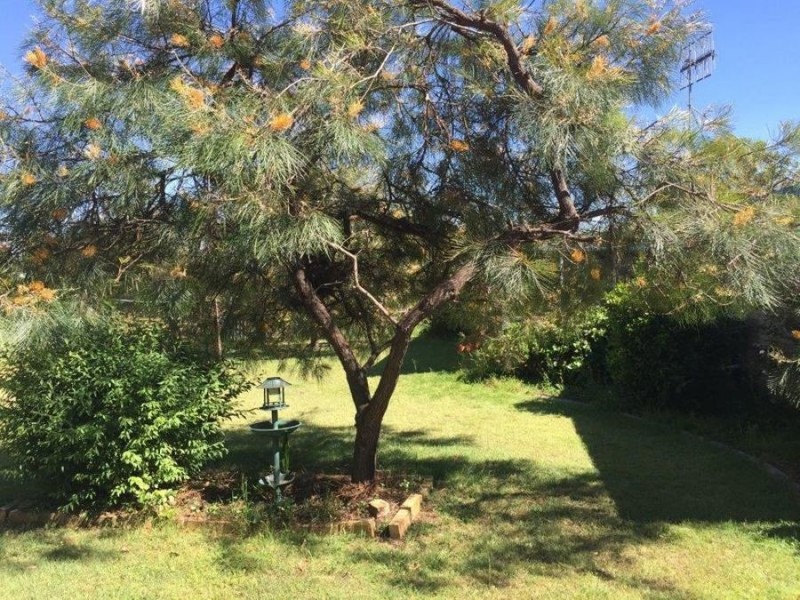 21 Kent Street, Wondai QLD 4606