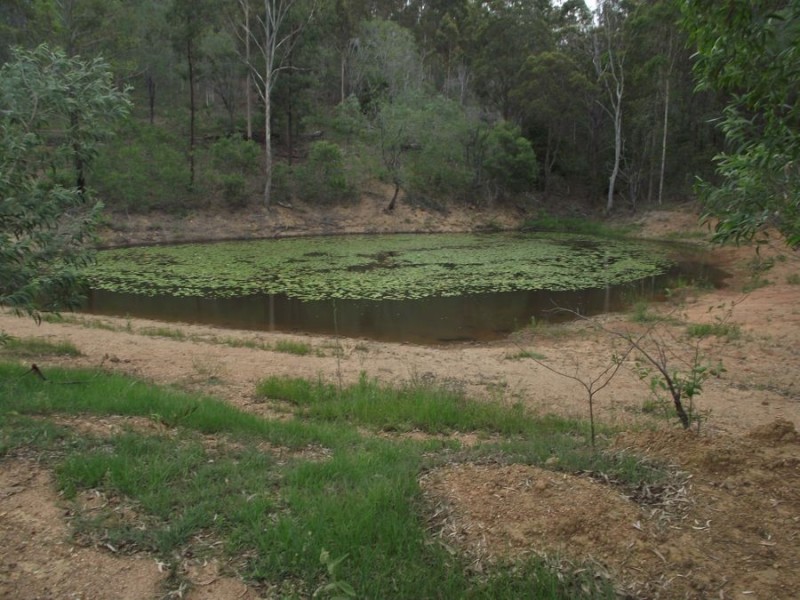 4257 Bruce Highway, Gootchie QLD 4650