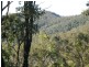 Off McCarthy Road, Widgee QLD 4570