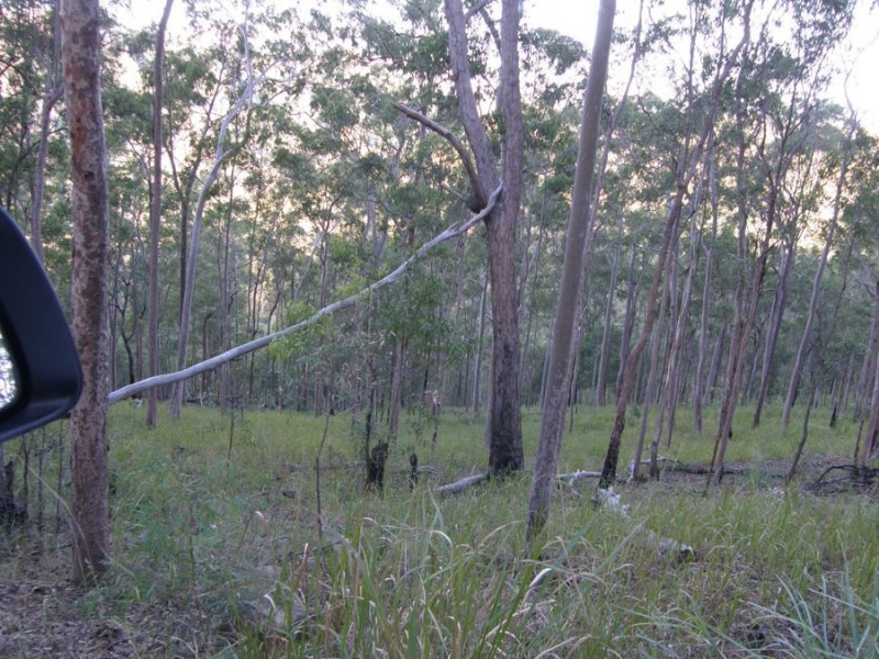 Off McCarthy Road, Widgee QLD 4570