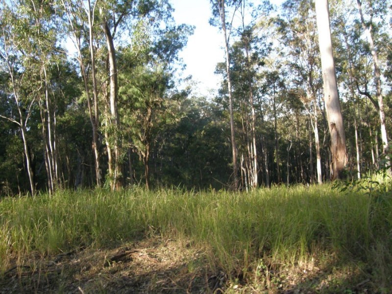 Off McCarthy Road, Widgee QLD 4570