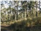 Off McCarthy Road, Widgee QLD 4570