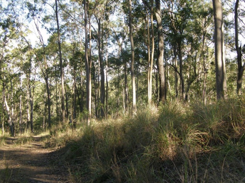 Off McCarthy Road, Widgee QLD 4570
