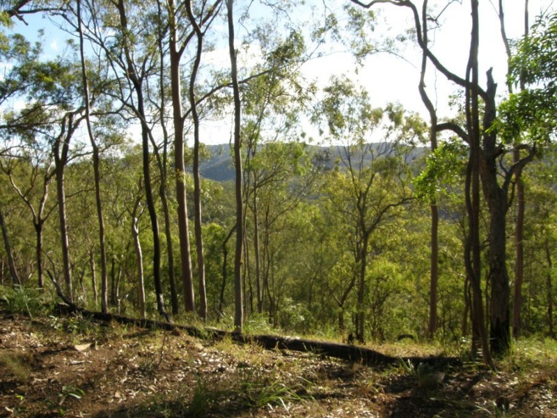 Off McCarthy Road, Widgee QLD 4570