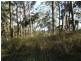 Off McCarthy Road, Widgee QLD 4570
