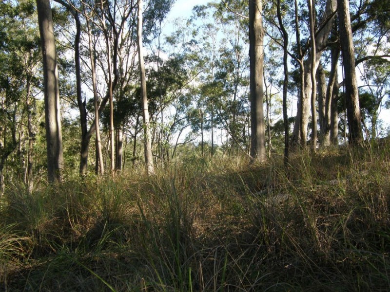 Off McCarthy Road, Widgee QLD 4570