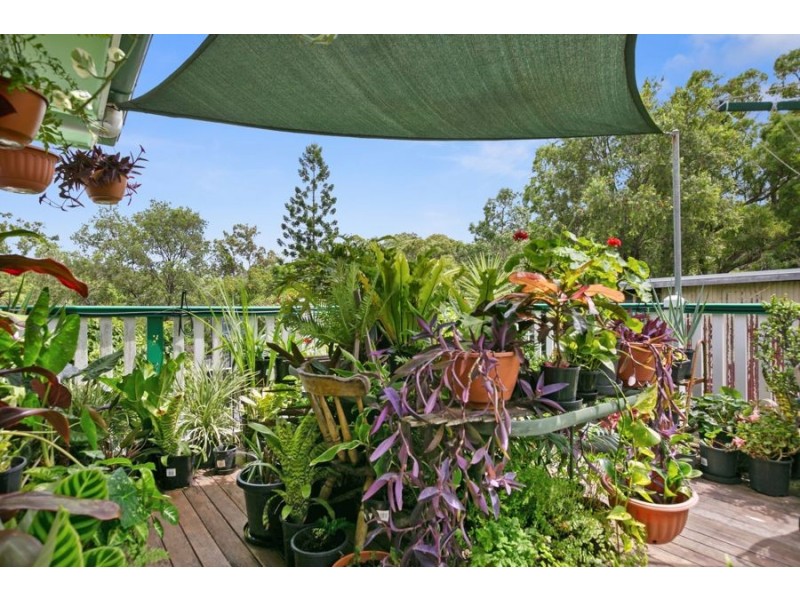 43 Cartwright Road, Gympie QLD 4570