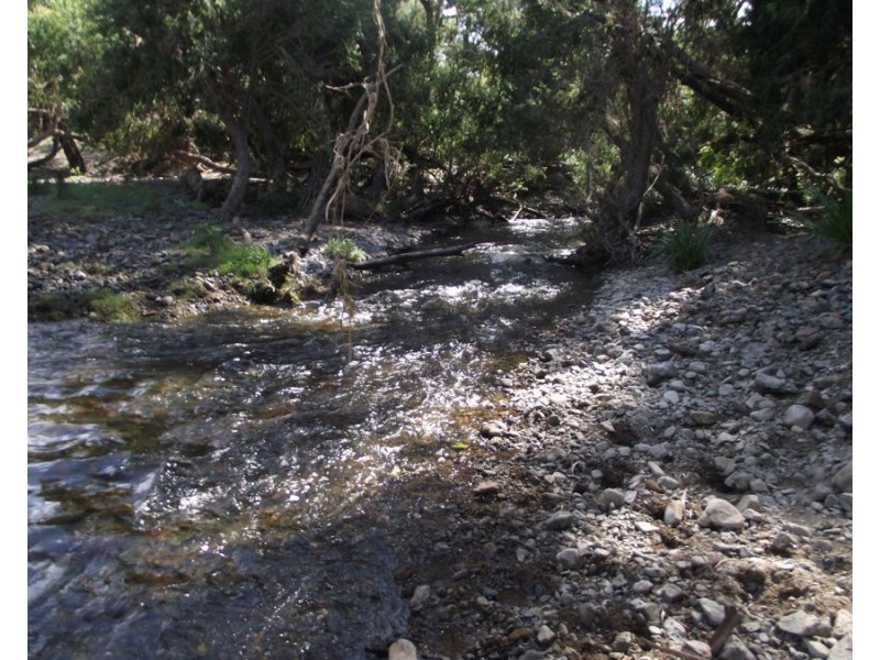 Lower Wonga QLD 4570