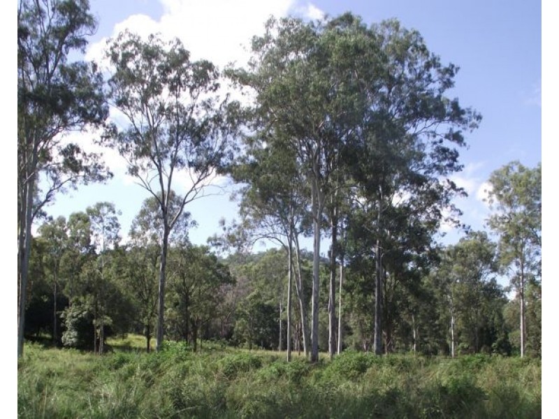 Lower Wonga QLD 4570