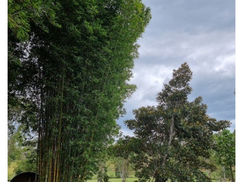 62 Reid Road, Widgee QLD 4570