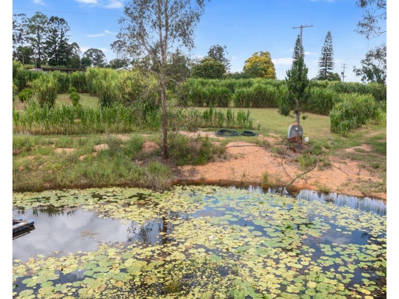 17 Lockhart Road, Victory Heights QLD 4570