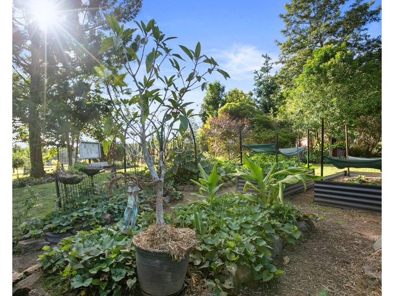 137 Gardner Road, North Deep Creek QLD 4570