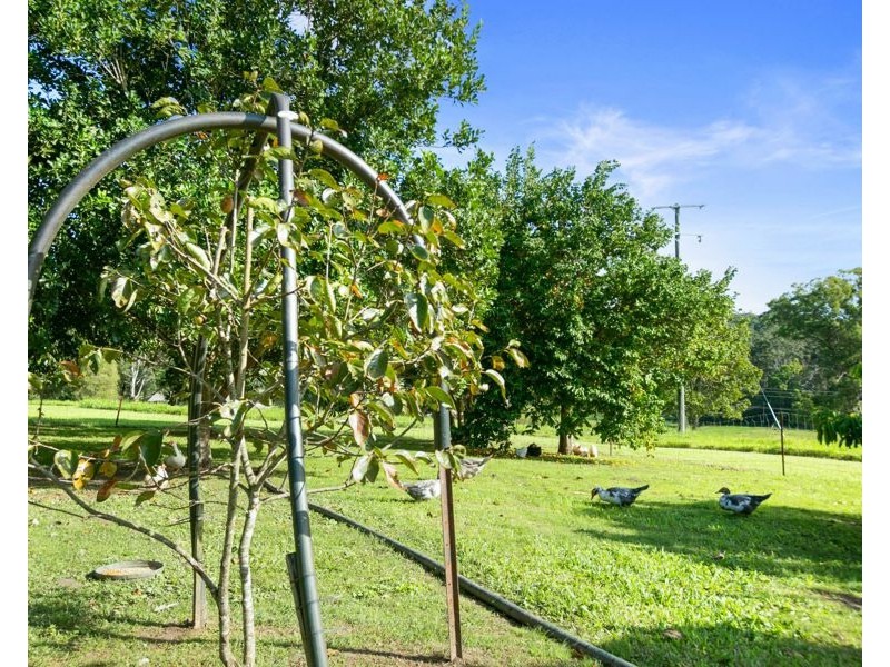 137 Gardner Road, North Deep Creek QLD 4570