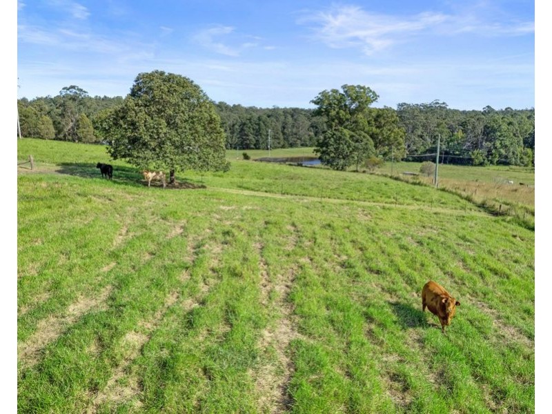 137 Gardner Road, North Deep Creek QLD 4570