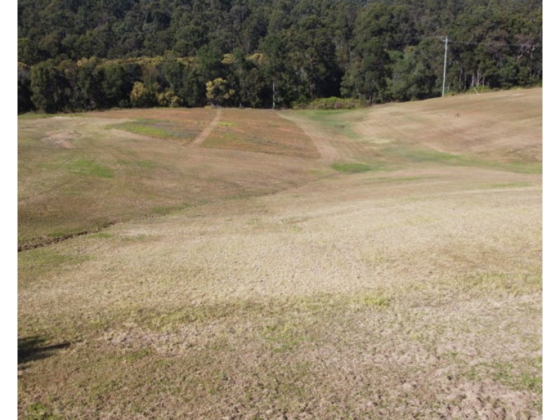 Forest Ridge Drive, Tamaree QLD 4570