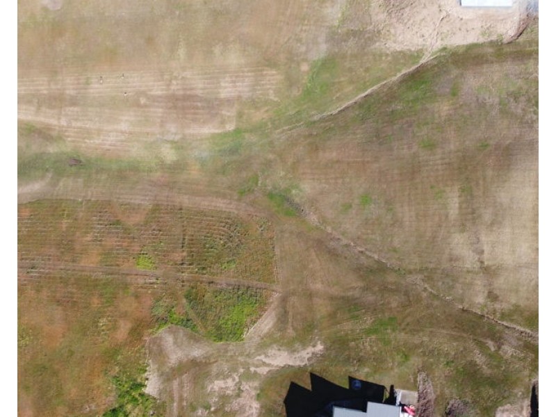 Forest Ridge Drive, Tamaree QLD 4570