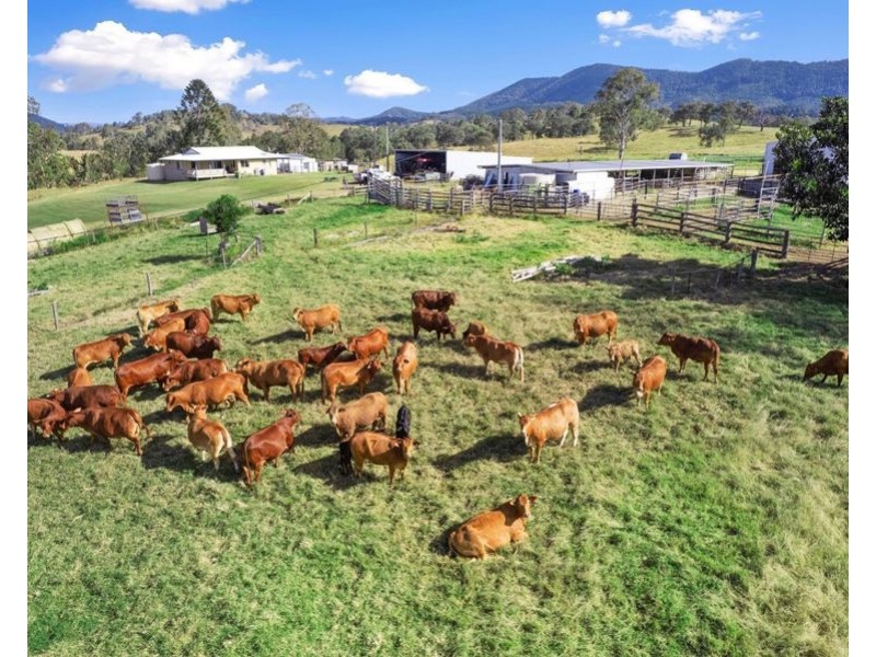 312 Glastonbury Creek Road, Glastonbury QLD 4570