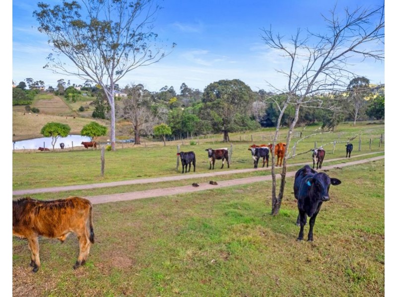 84 Allen Road, Chatsworth QLD 4570