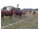 Widgee QLD 4570
