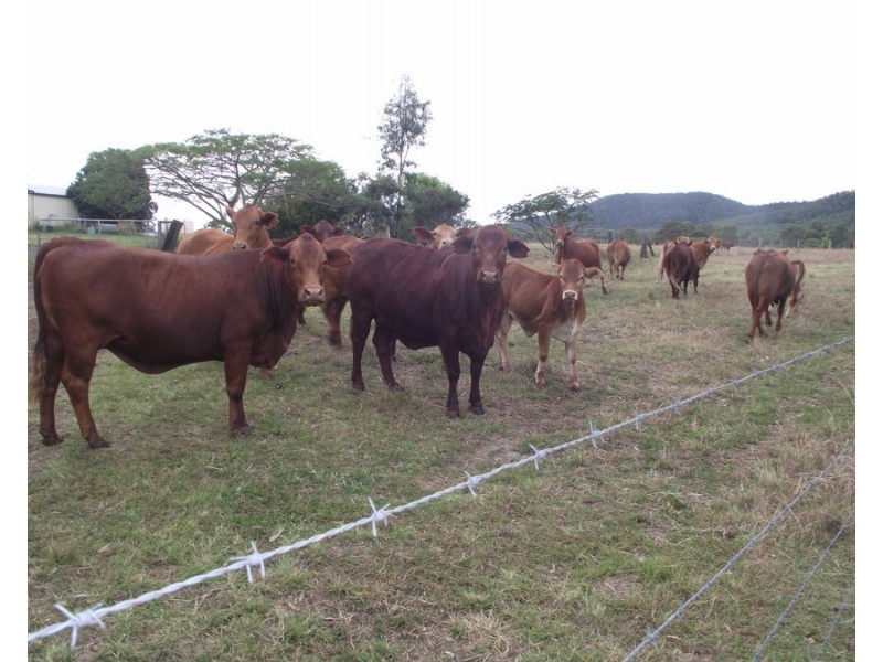 Widgee QLD 4570