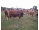 Widgee QLD 4570