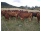 Widgee QLD 4570