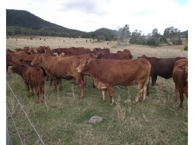 Widgee QLD 4570