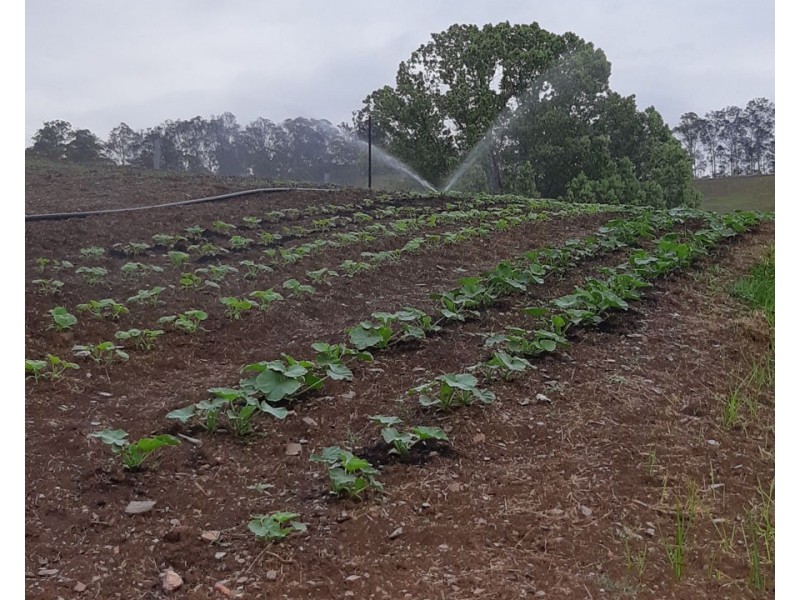 721 Old Goomboorian Road, Veteran QLD 4570