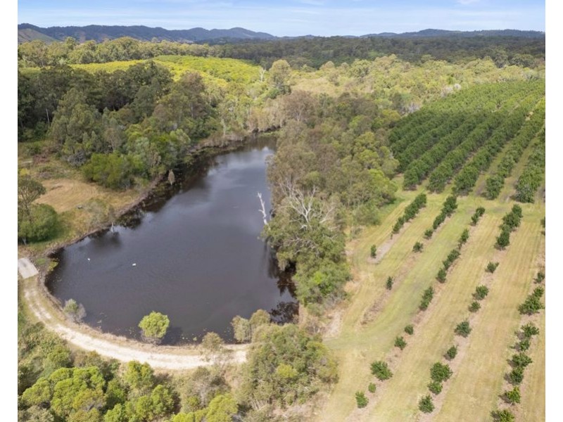 46 Butlers Knob Road, Anderleigh QLD 4570