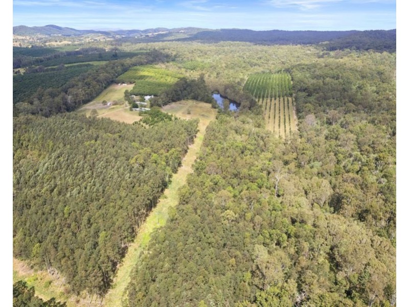 46 Butlers Knob Road, Anderleigh QLD 4570