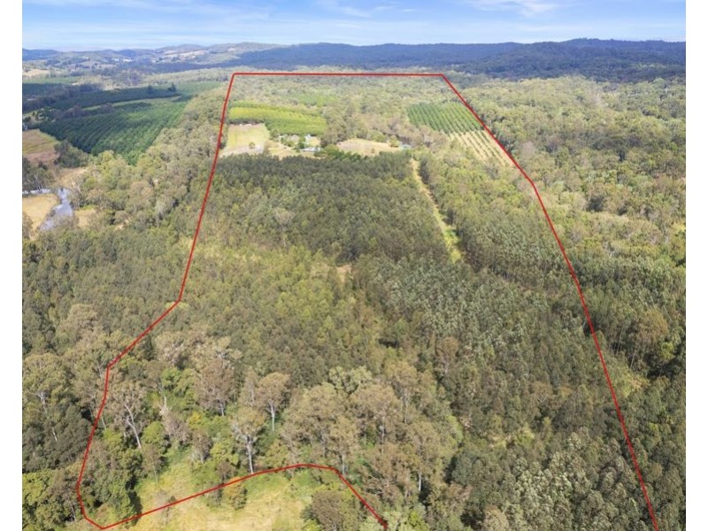 46 Butlers Knob Road, Anderleigh QLD 4570