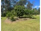 37 Old Veteran Road, Veteran QLD 4570