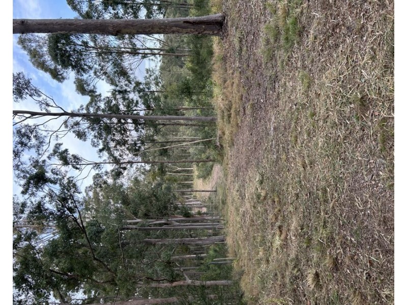 Veteran QLD 4570